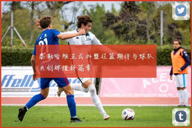 泰勒哈维正式加盟辽篮期待与球队共创辉煌新篇章
