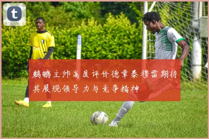 鹈鹕主帅高度评价德章泰穆雷期待其展现领导力与竞争精神